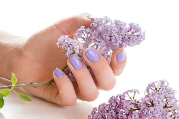 Hand with purple manicure. — Stock Photo, Image