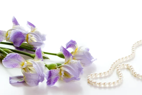 Irys kwiaty i perły. — Zdjęcie stockowe