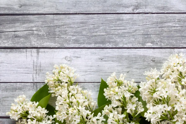 Tahta arka planda beyaz çiçekler.