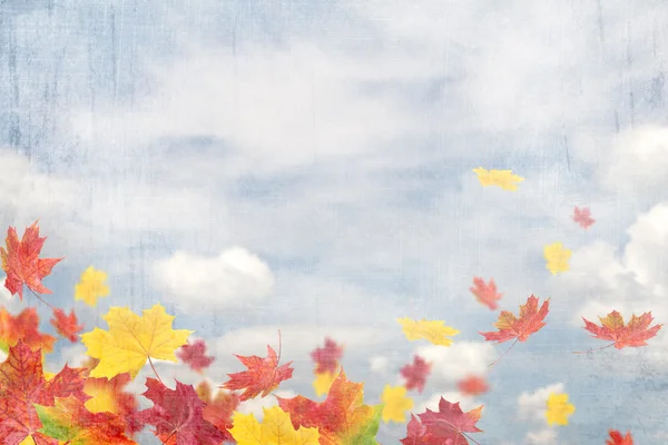 Helle Herbstblätter. — Stockfoto