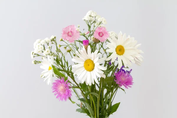 Bouquet de marguerites et de bleuets — Photo