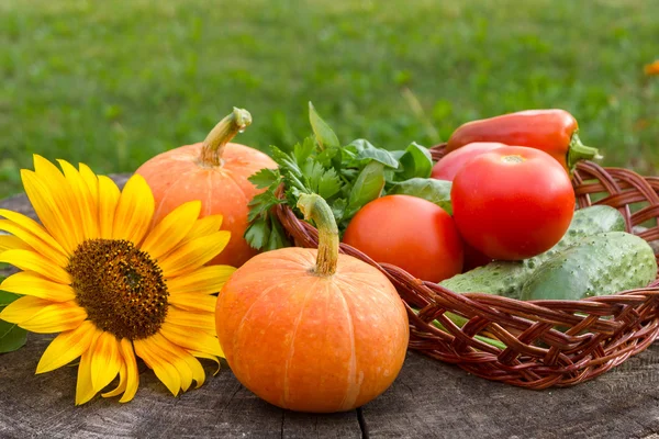 Fresh vegetables on a stump. — Stock Photo, Image