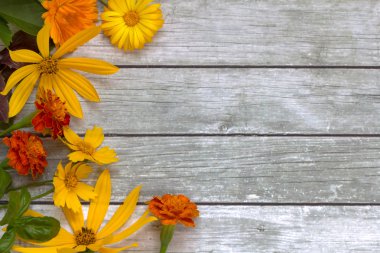 ahşap zemin çiçek.