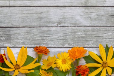 ahşap zemin çiçek.