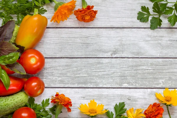 Groenten op de houten achtergrond. — Stockfoto