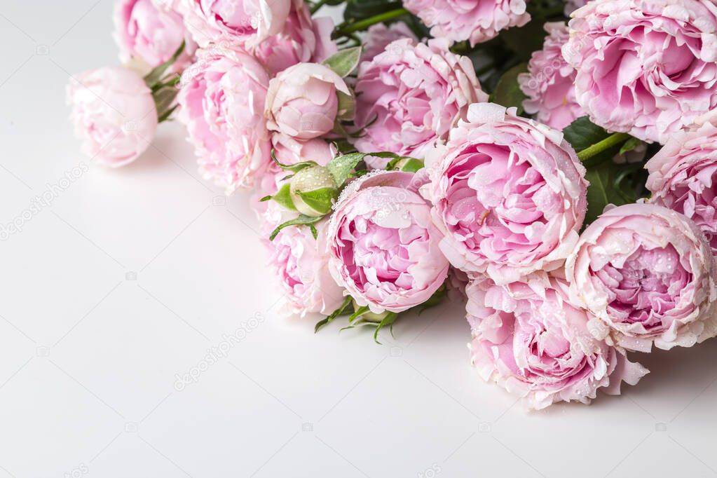Image with roses.