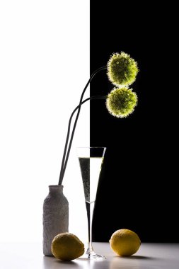 Şampanya ile şarap kadehi, soğanlı vazo ve siyah beyaz arka planda limon..