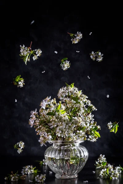 Ein Strauß Kirschblüten Einer Vase Und Kirschblüten Der Luft — Stockfoto