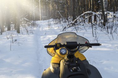 Sarı bir kar aracı kış ormanında bir patikada duruyor..