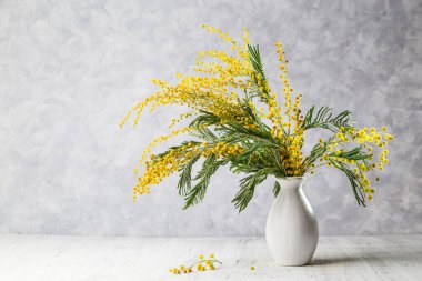Fotokopi alanı olan bir vazoda Mimosa buketi.