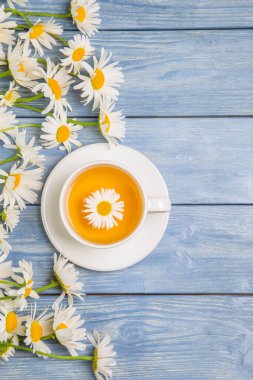Papatya çiçeklerinden bitki çayı ve mavi arka planda bir buket papatya. Sağlıklı çay kavramı.