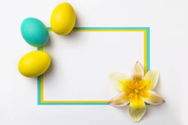 Fotokopi alanı olan beyaz bir arkaplanda paskalya yumurtaları.