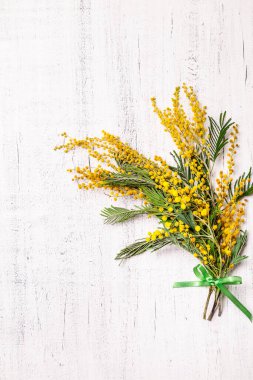 Fotokopi alanı olan açık arkaplanda Mimosa buketi.