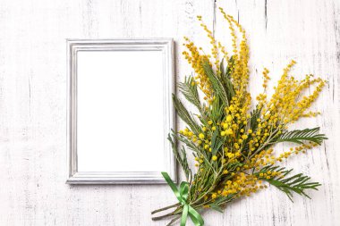 Fotokopi alanı olan açık arkaplanda Mimosa buketi.