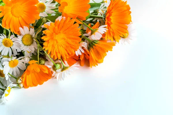 Strauß Gänseblümchen Ringelblume Auf Weißem Hintergrund — Stockfoto