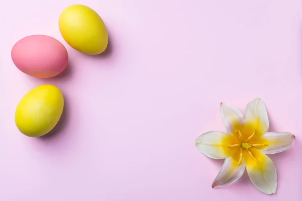 Huevos Pascua Sobre Fondo Blanco Con Espacio Para Copiar — Foto de Stock