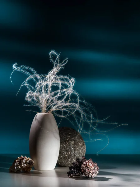 Tüylü Otlar Deniz Kabuklarıyla Modern Yaşam — Stok fotoğraf
