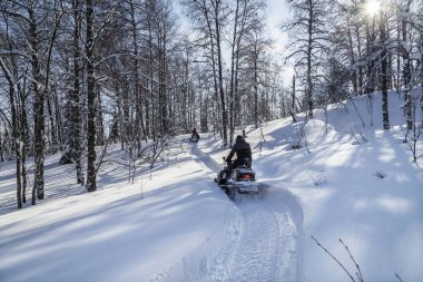 Athlete on a snowmobile moving in the winter forest in the mountains of the Southern Urals. clipart