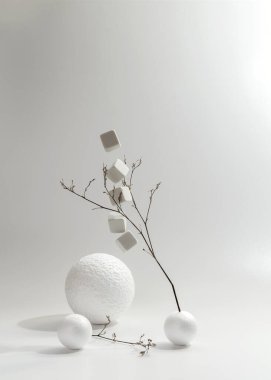 Minimalist monokrom natürmort yaşam kompozisyonu. Boşluğu kopyala, soyut modern sanat tasarımı kavramı 