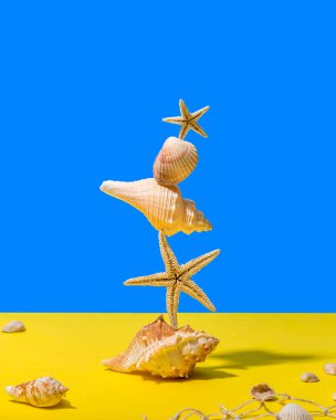 Sarı ve mavi arka planda deniz kabuklarının yaratıcı bileşimi. Yaz asgari kavramı.