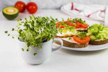 Peynirli tam buğday tostu, domates, avokado ve mikroyeşillik..