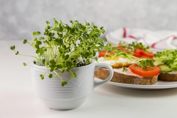 Tostadas Trigo Integral Con Requesón Tomates Aguacate Microverduras —  Fotos de Stock
