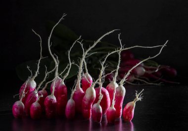 Koyu arkaplanlı bir turpun grup fotoğrafı. Komik bir kavram..