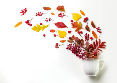 Sonbahar yaprakları beyaz arka planda beyaz bir bardaktan uçuyor. Boşluğu kopyala.