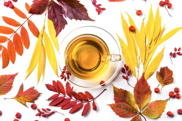 Cup Tea Autumn Leaves White Background — Stock Photo, Image