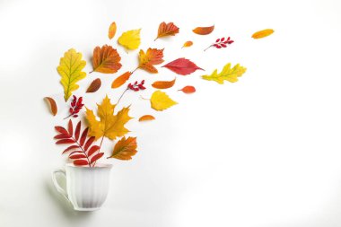 Sonbahar yapraklı resim.