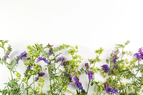 Hafif arka planda bir buket kır çiçeği. Metin için alanı kopyala.