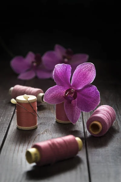 Imagen con orquídea. — Foto de Stock