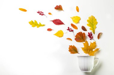 Sonbahar yaprakları beyaz arka planda beyaz bir bardaktan uçuyor. Boşluğu kopyala.