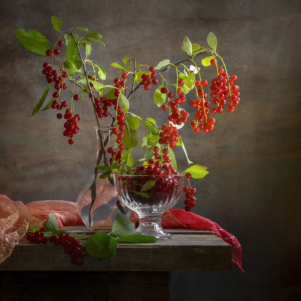 Red Bird Cherry Vase Wooden Table — Stock Photo, Image