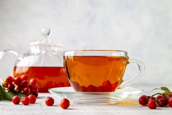 Hot Tea Hawthorn Transparent Cup Teapot Tea Light Background — Stock Photo, Image