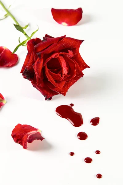 Rote Rose Und Blutstropfen Auf Weißem Hintergrund Medizinisches Konzept — Stockfoto