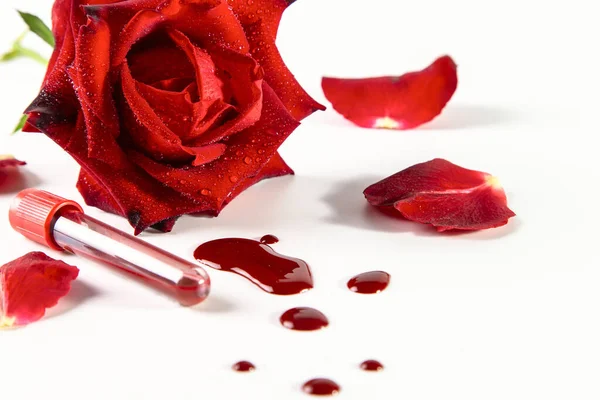 Red rose, drops of blood and test tube with blood on a white background.
