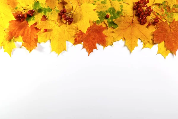 Herbstblätter Auf Weißem Hintergrund Kopierraum Für Text — Stockfoto