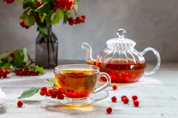 Hot tea with hawthorn in a transparent cup and a teapot with tea on a light background.