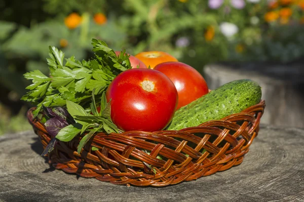 Vegetables — Stock Photo, Image