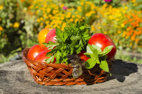 Groenten — Stockfoto