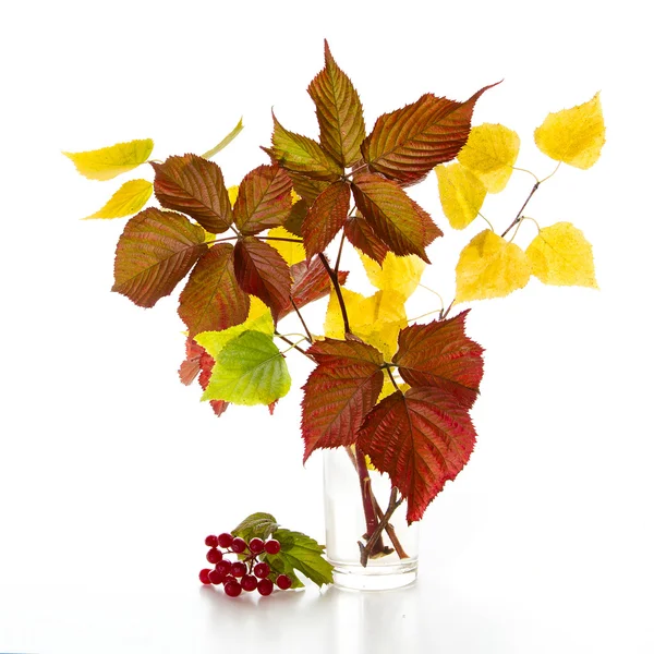 Autumn bouquet — Stock Photo, Image