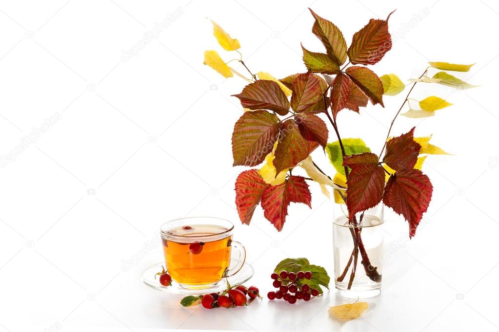 Tea with rosehip