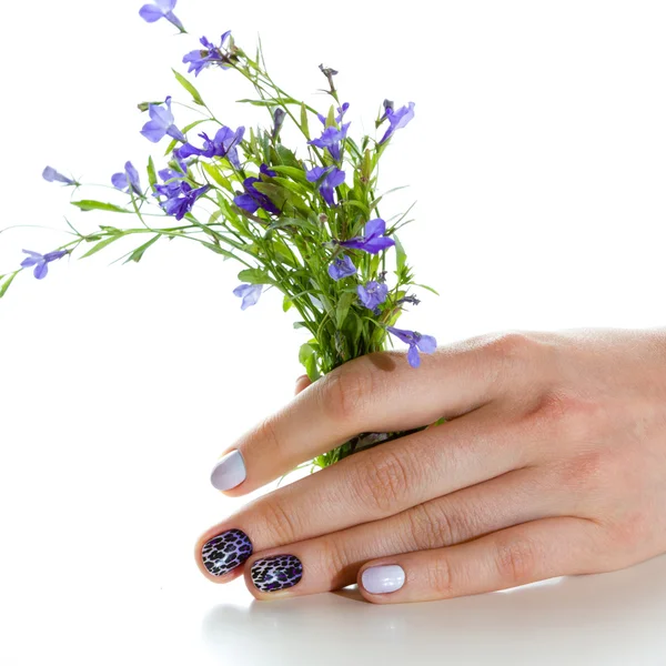 Manicura — Foto de Stock