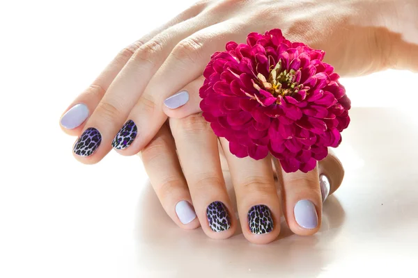 Manicura — Foto de Stock