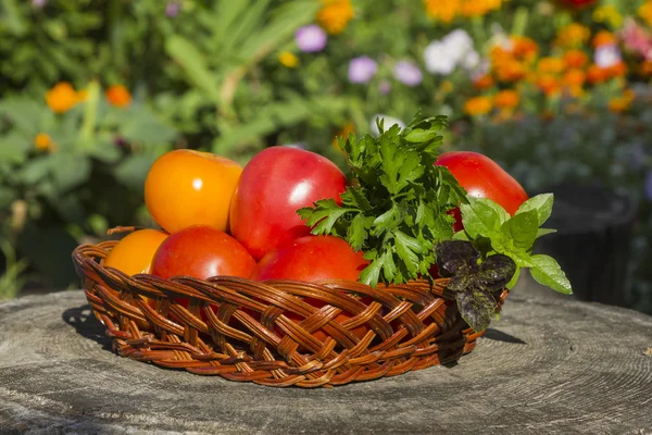 Vegetables — Stock Photo, Image