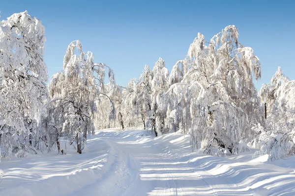 Mountain road — Stock Photo, Image