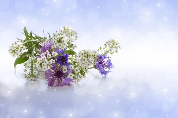 Bouquet of cornflowers. — Stock Photo, Image