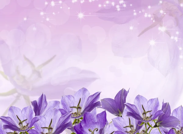 Campanas lila — Foto de Stock