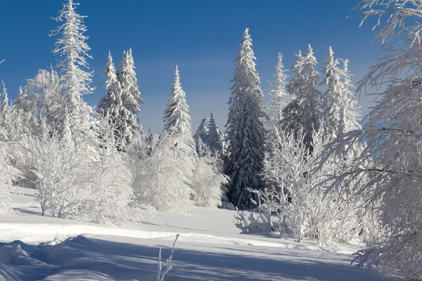 Inverno in montagna — Foto Stock